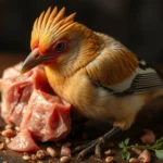 bird meat dream meaning