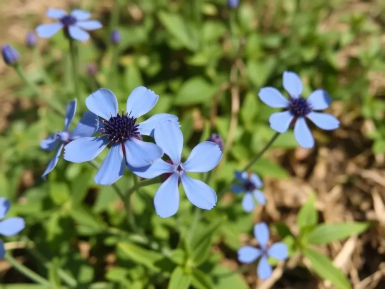 Dream About Blue Flowers Dream Meaning: Unveiling the Hidden Messages