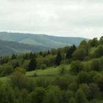 christian olive green color dream meaning