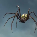 giant spider dream meaning