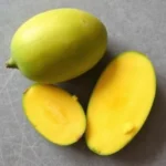 green mango dream meaning