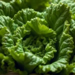 seeing green leafy vegetables in your dreams